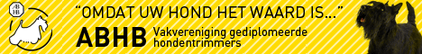 banner1